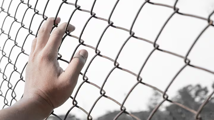 Photo d'une main posée sur une clôture Frost.