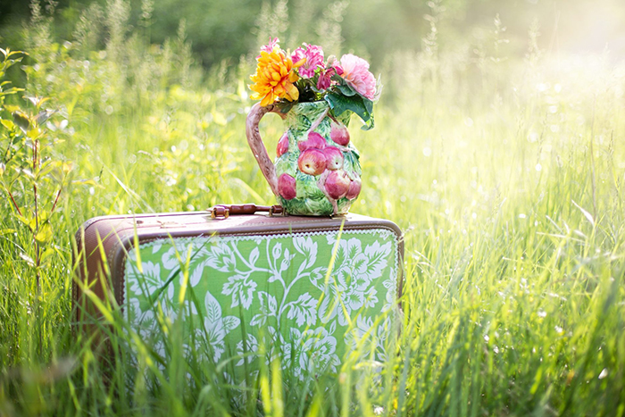 Photo d'un pot de fleurs posé sur une valise dans un pré.