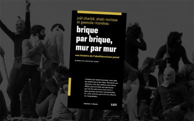 Montage graphique avec la couverture du livre «Brique par brique, mur par mur».