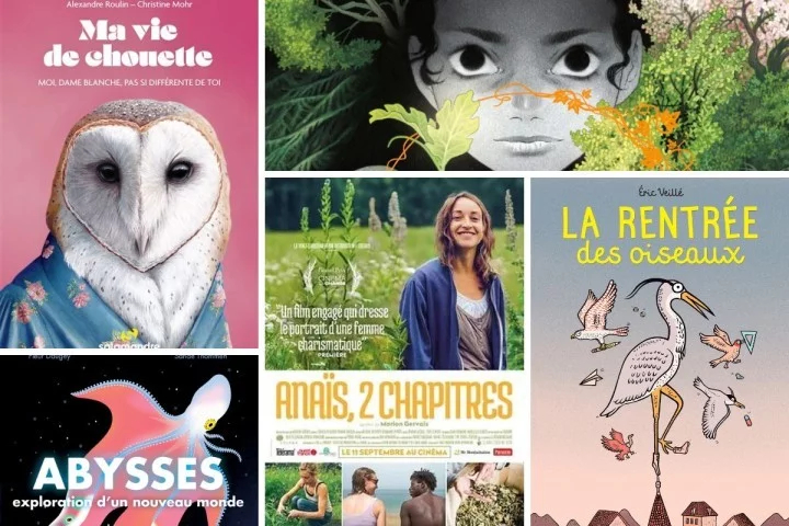 Montage de différentes couvertures de livres et affiches de films.