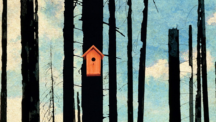 Détail de la couverture du livre «Une brève histoire de l'espoir».