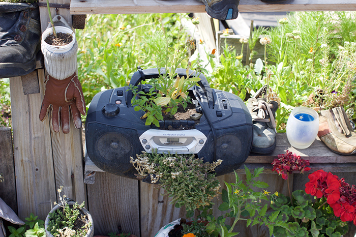 Photo d'une radio dans laquelle poussent des plantes.